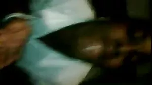 براہ راست SE SE