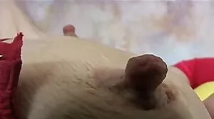 سنہرے بالوں والی se ن گھوںسلا ٹو